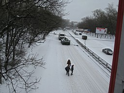 01CE27B6EFBD1300.JPG