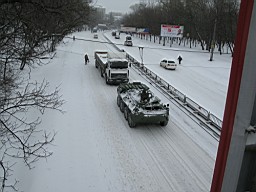 01CE27B6FA77A800.JPG