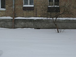 01CE27BED91ABA00.JPG