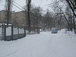 01CE27C6E3D94D00.JPG