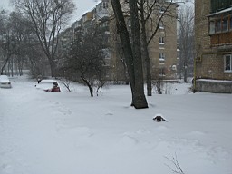 01CE27C7B6D96A00.JPG