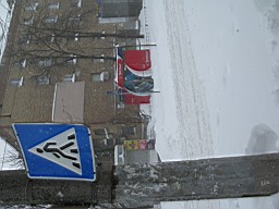 01CE27C891009500.JPG