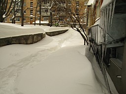 01CE288147C04C00.JPG