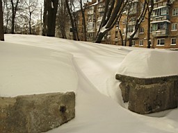 01CE288160C8FD00.JPG