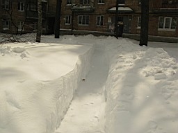 01CE2883A090E400.JPG