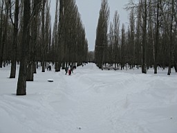 01CE28A03A668A00.JPG