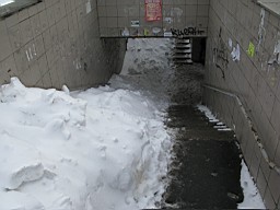 01CE28A17D752D00.JPG