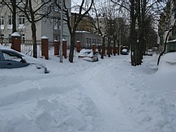 01CE28A3D645C500.JPG