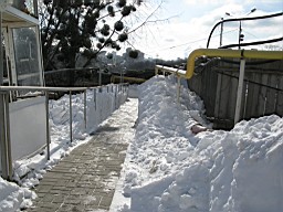 01CE29230F714A00.JPG
