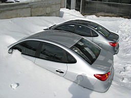 01CE294D815E8900.JPG